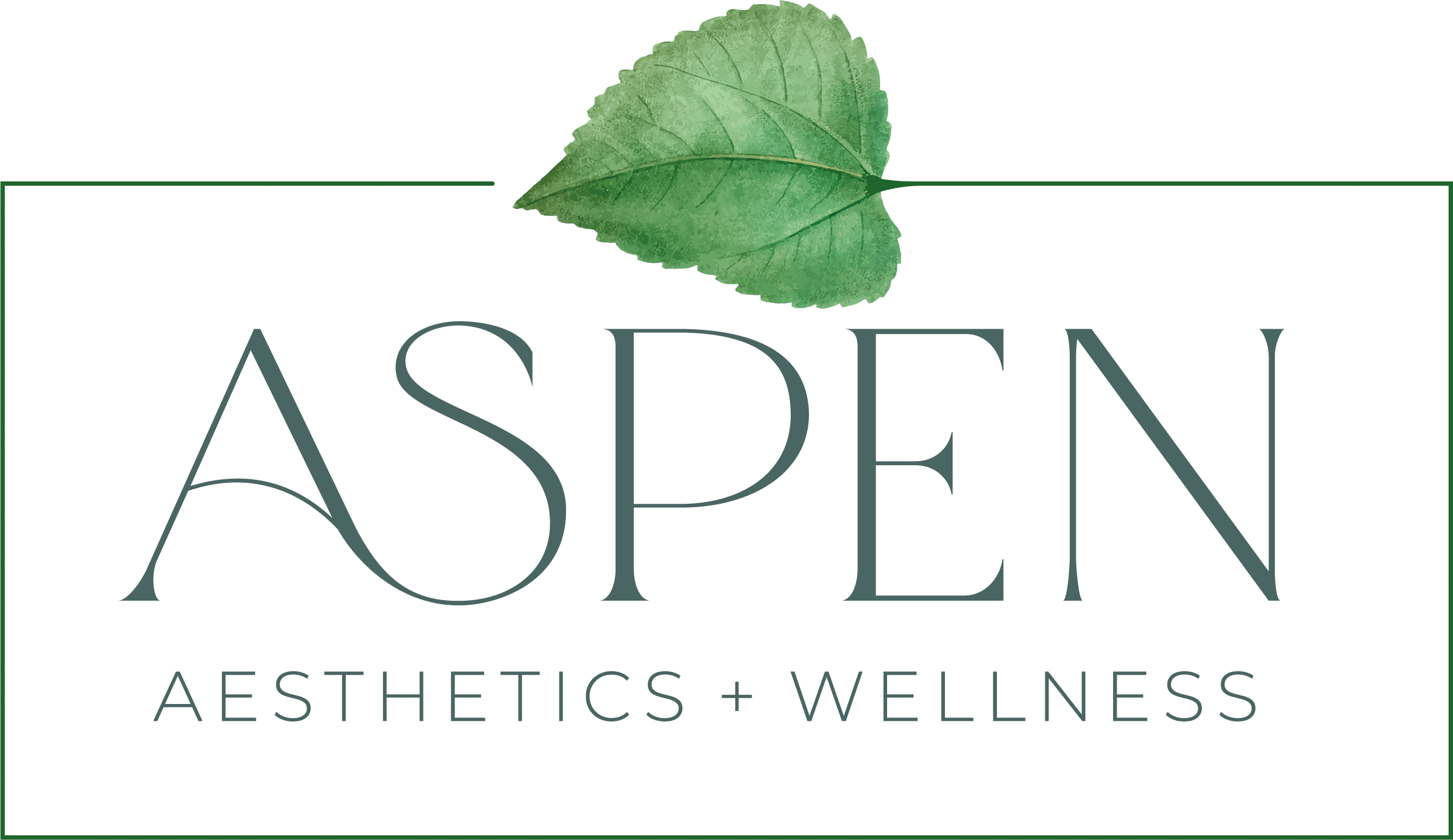 aspen logo