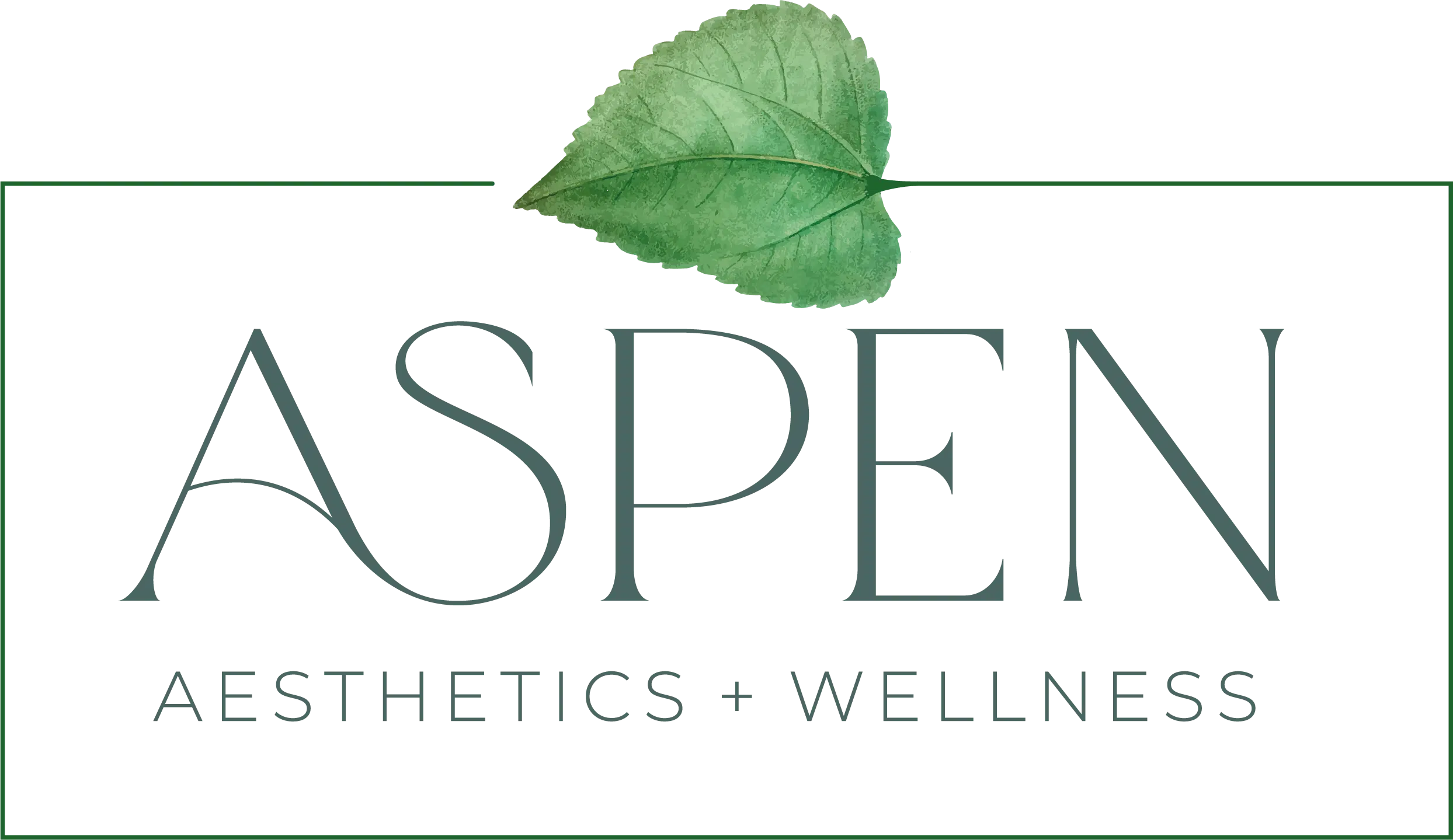 aspen logo